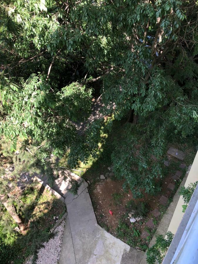 Ante Apartment سبليت المظهر الخارجي الصورة